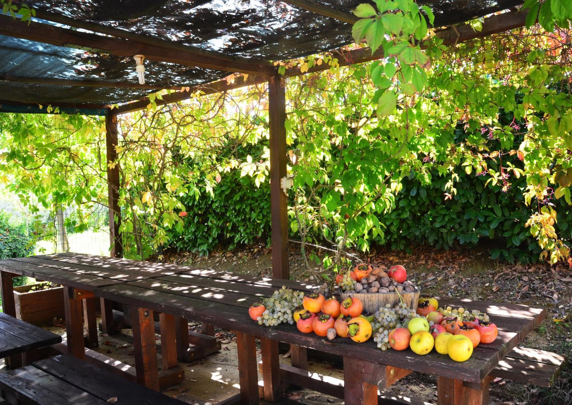 Country House Nonna Rana Cannara Bagian luar foto